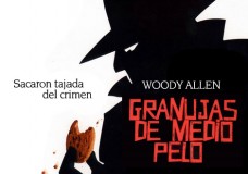 Granujas de medio pelo